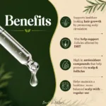 Rosemary Essential Oil1c.jpg