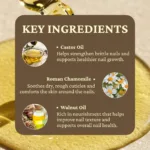 Nail cuticle oil-4